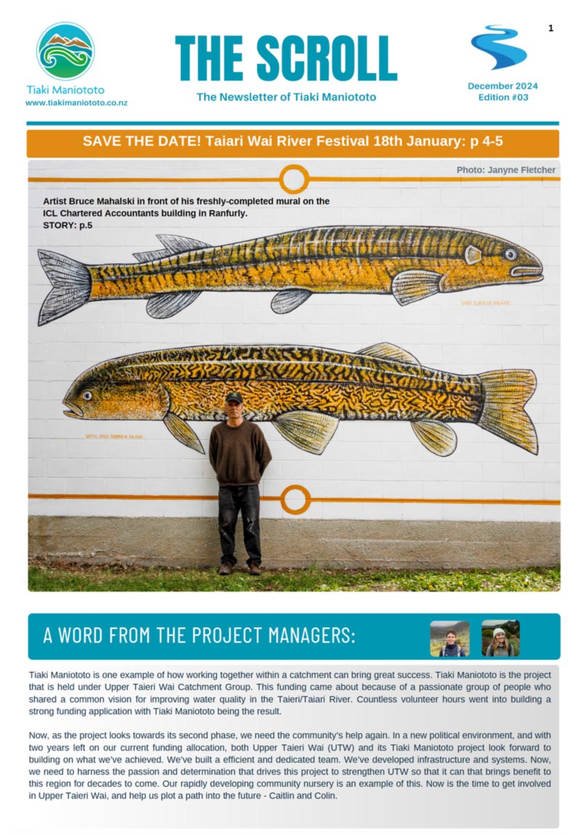 The Scroll Newsletter